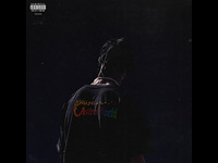 Travis Scott – Too Many Chances