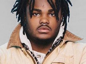 Tee Grizzley ft. PNB Rock – No Rap Cap