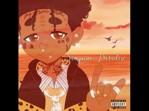 Lil Uzi Vert – Sanguine Paradise
